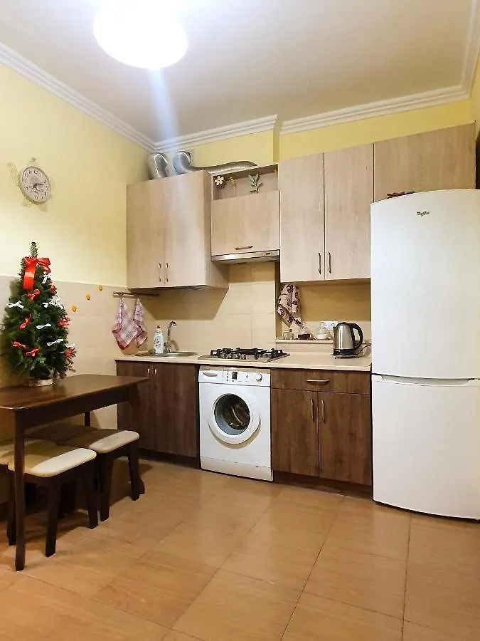 Homey Apartment On Vicheva Str. Lviv Ukraine